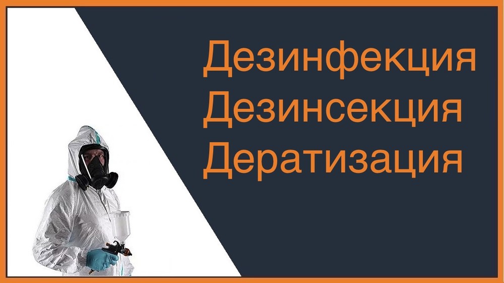 Дезинфекция, дезинсекция и дератизация в Новокузнецке